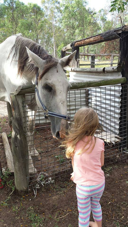 Save A Horse Australia (SAHA) Buy a Rug For a Rescue Horse