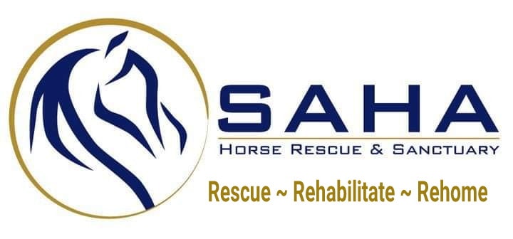 Save A Horse Australia (SAHA) Buy a Rug For a Rescue Horse