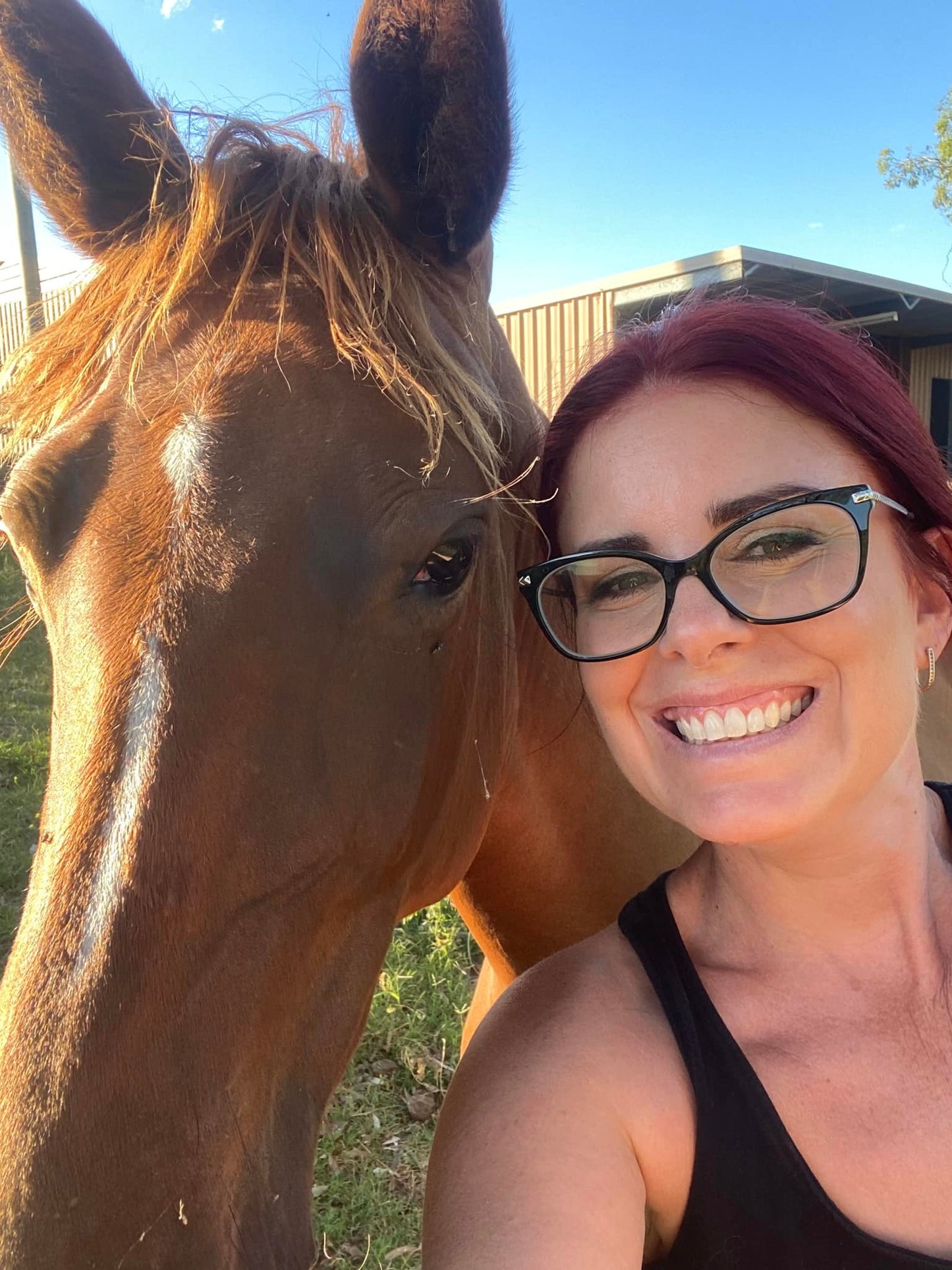 Amanda Vella's Bella Vita Equine Sanctuary Buy a Rug For a Rescue Horse