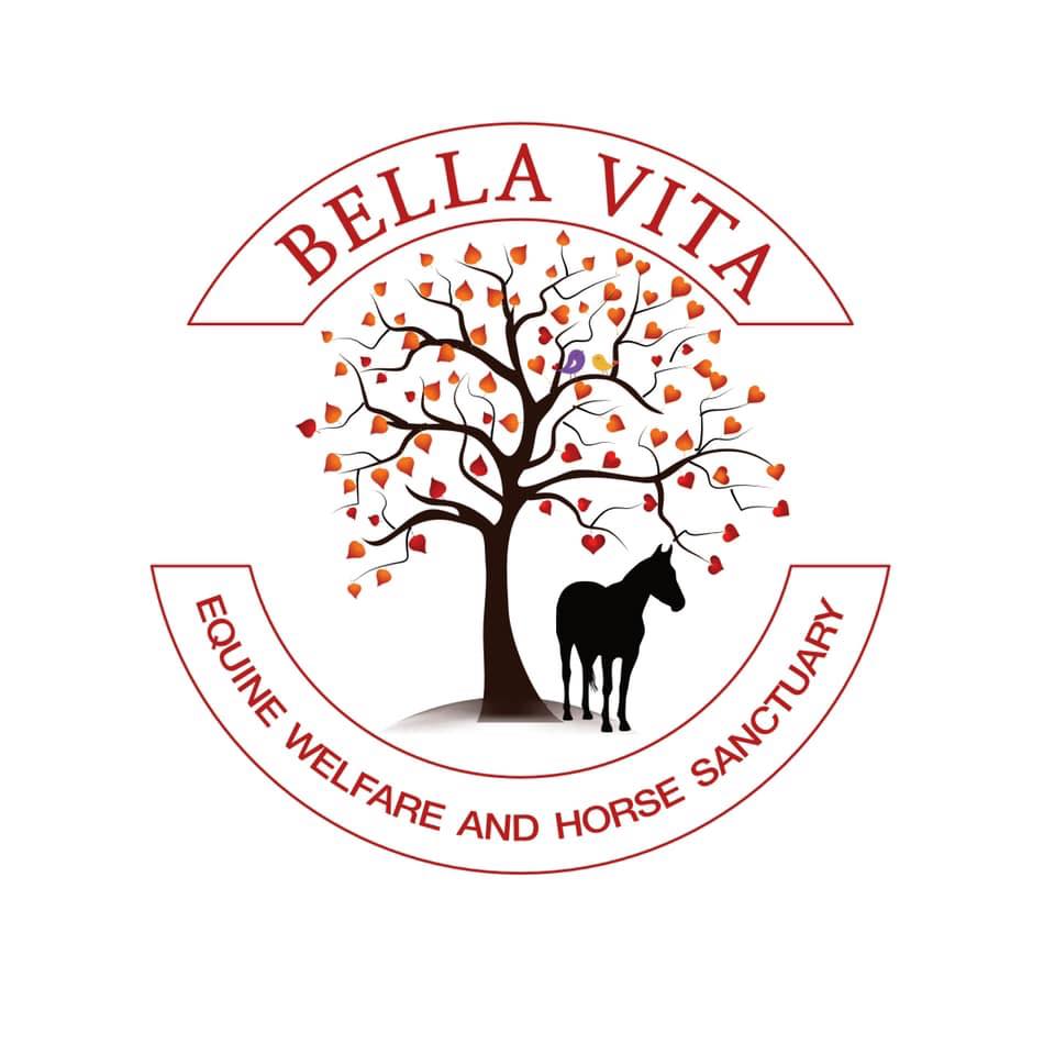 Amanda Vella's Bella Vita Equine Sanctuary Buy a Rug For a Rescue Horse